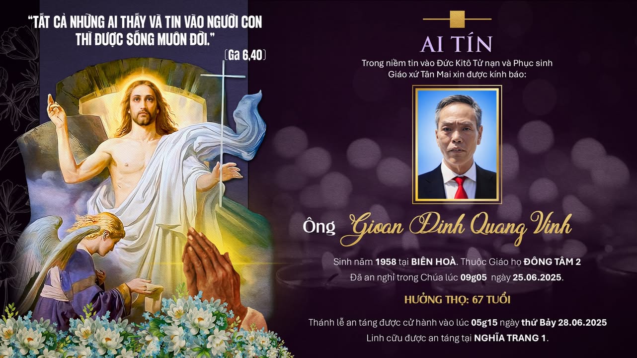 Blog Single